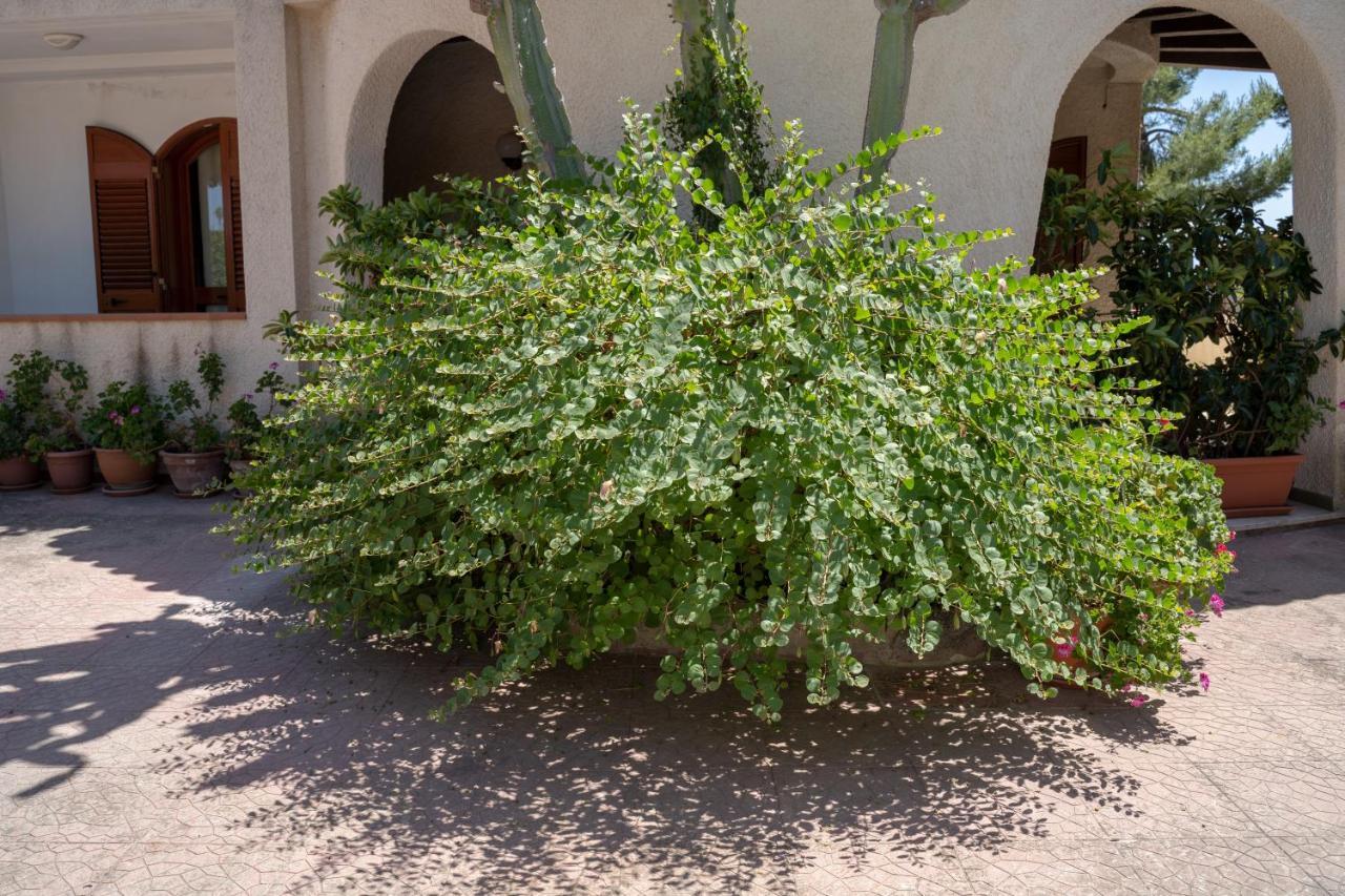 Terrazza Sul Plemmirio Bed and Breakfast Συρακούσες Εξωτερικό φωτογραφία